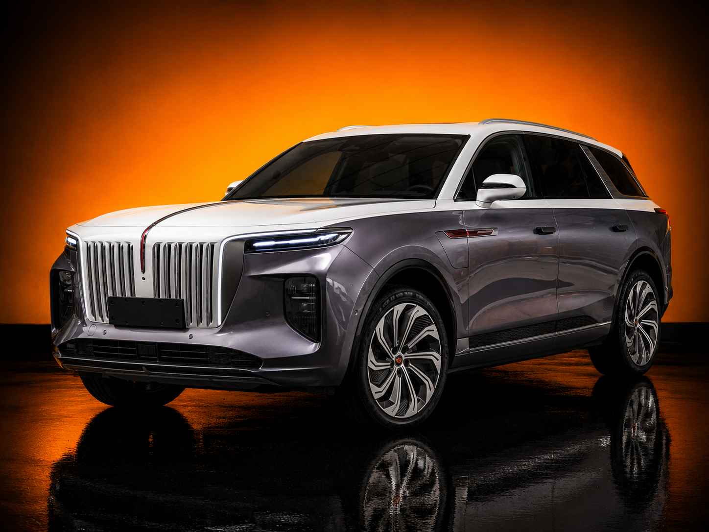 Hongqi E Hs9